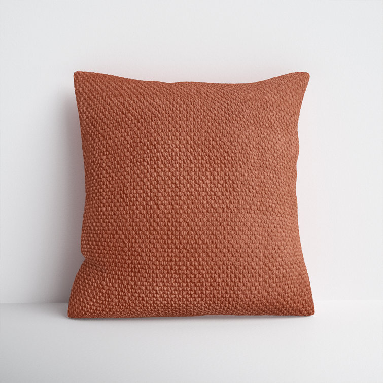 Birch lane throw pillows sale